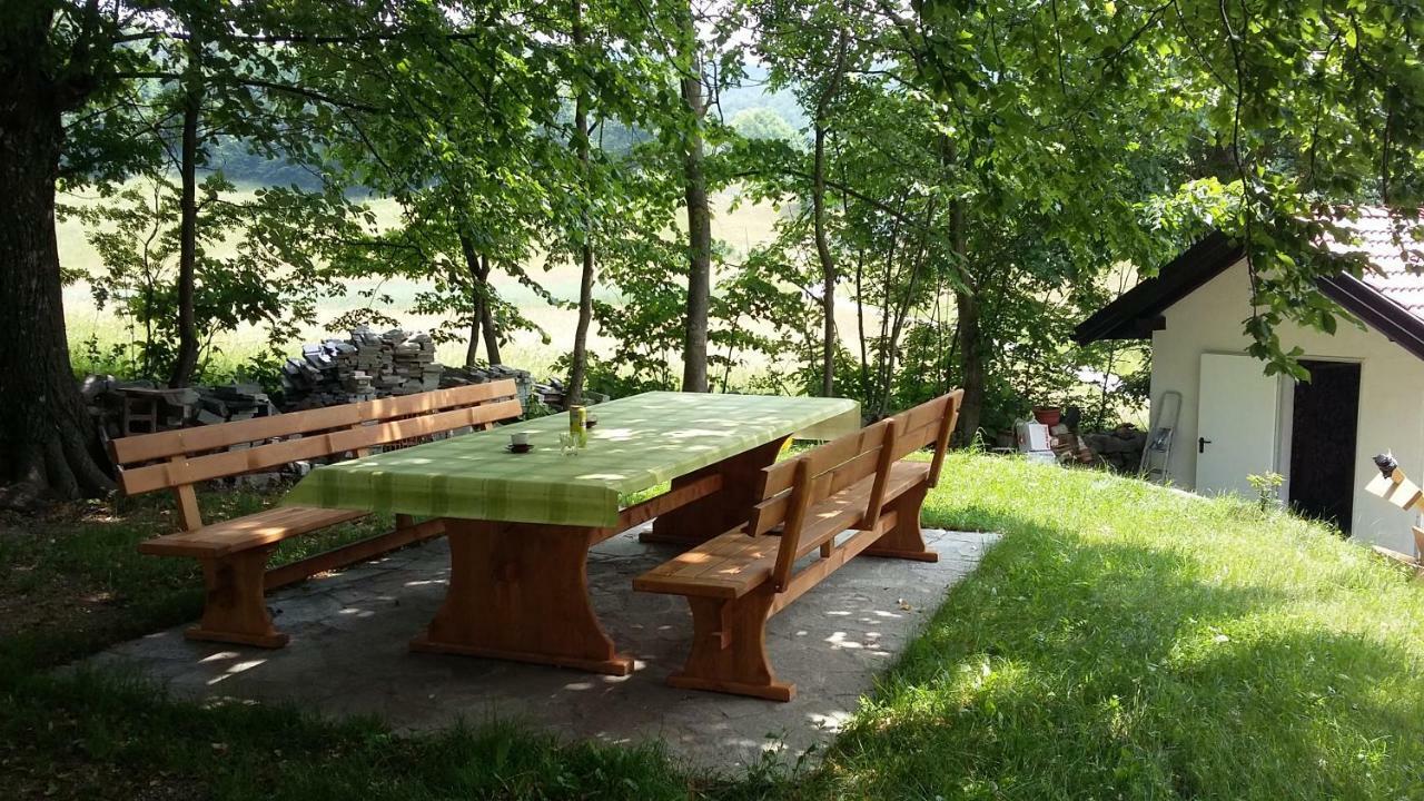 Apartma Zoran Appartamento Lokve Esterno foto